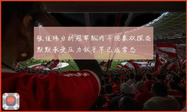 张佳玮分析冠军队内斗现象双探花默默承受压力似乎早已成常态